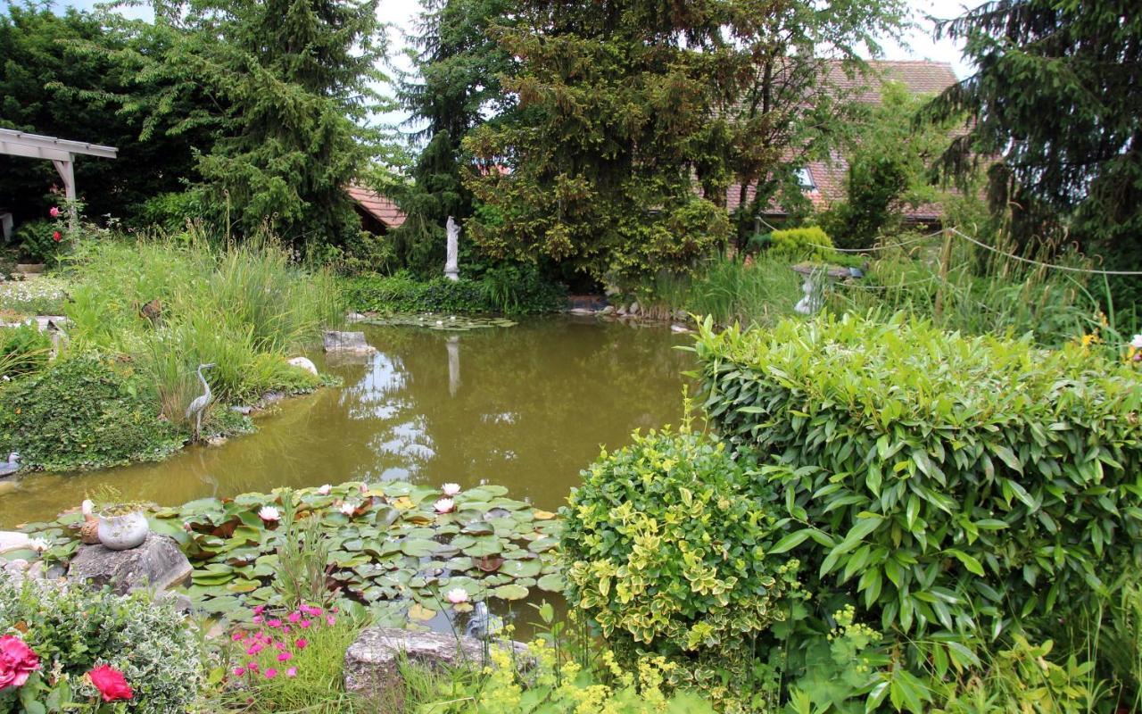 Zimmer Paradiso Busingen am Hochrhein Dış mekan fotoğraf