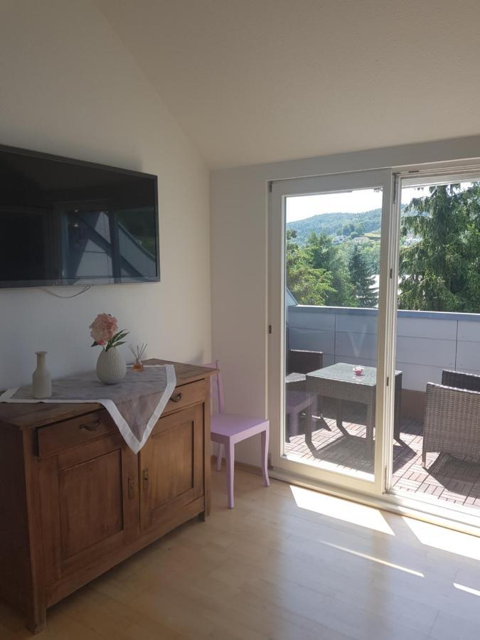 Zimmer Paradiso Busingen am Hochrhein Dış mekan fotoğraf