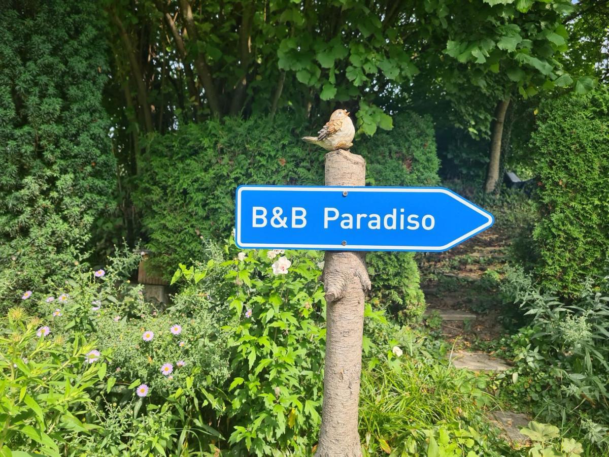 Zimmer Paradiso Busingen am Hochrhein Dış mekan fotoğraf